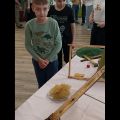 IMG_20260518_113307